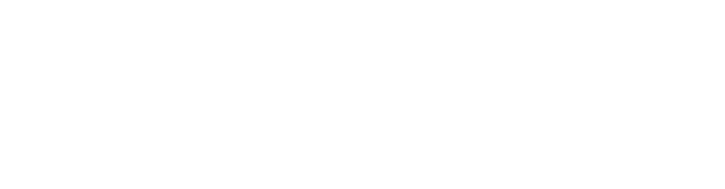Bizgora