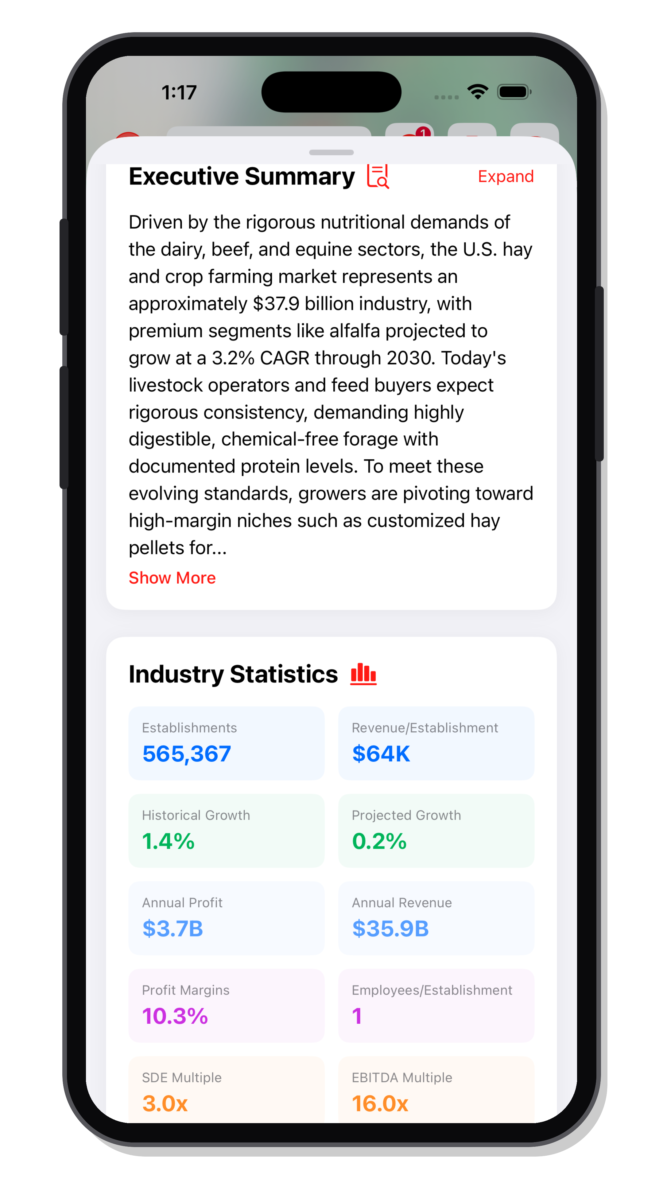 Bizgora industry executive summary with revenue, growth, margins, and valuation multiples