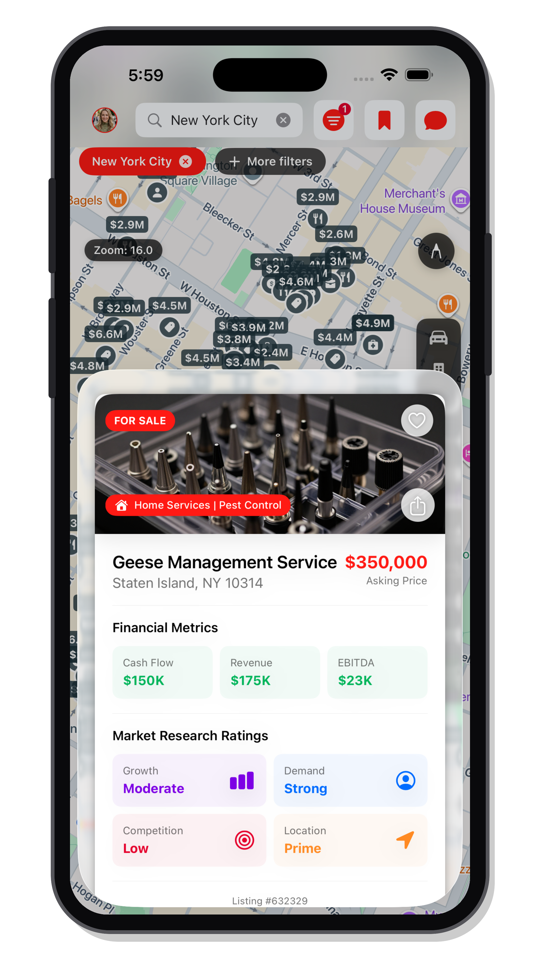 Bizgora business listing intelligence and financial analysis on an iPhone